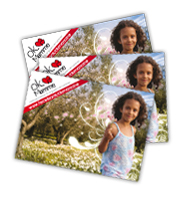 Cartoline OkMamme